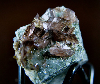 Axinite-Fe - Miage Glacier, Veny Valley, Monte Bianco Massif (Mont Blanc Massif), Courmayeur, Aosta Valley, Italy