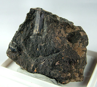 Kaersutite - Predazzo, Fiemme Valley, Trento Province, Trentino-Alto Adige (Trentino-S�dtirol), Italy