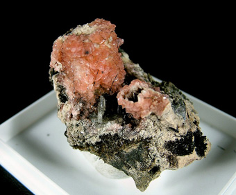 Serandite, Aegirine, Albite - Poudrette quarry - Mont Saint-Hilaire, La Vall�e-du-Richelieu RCM, Mont�r�gie, Qu�bec, Canada
