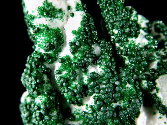 Mammellonar Malachite on Chalcedony - Lupoto Mine, Kakumba, Katanga Copper Crescent, Katanga (Shaba), Democratic Republic of Congo (Za�re)