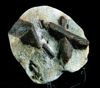 Staurolite - Keivy Mountains, Kola Peninsula, Murmanskaja Oblast', Northern Region, Russia