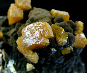 Wulfenite on Mottramite - San Juan Poniente, Ojuela Mine, Mapim�, Mun. de Mapim�, Durango, Mexico