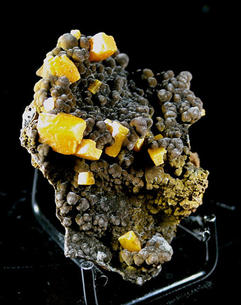 Wulfenite on Mottramite - San Juan Poniente, Ojuela Mine, Mapim�, Mun. de Mapim�, Durango, Mexico
