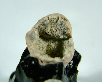 Cristobalite and Fayalite in Obsidian - Cougar Butte occurrence (Canyon Butte; Couger Butte), Cougar Butte, Cascade Range, Siskiyou Co., California, USA