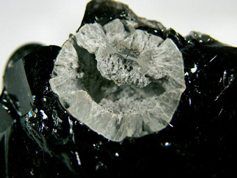 Cristobalite and Fayalite in Obsidian - Cougar Butte occurrence (Canyon Butte; Couger Butte), Cougar Butte, Cascade Range, Siskiyou Co., California, USA
