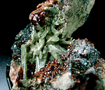 Diopside with Grossular var. Hessonite - Bellecombe, Ch�tillon, Aosta Valley, Italy