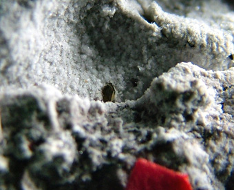 Fayalite - Canneto, Lipari Island, Lipari, Eolie Islands (Aeolian Islands), Messina Province, Sicily, Italy