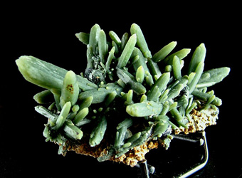 Prase Quartz with Hematite - Serifos Island (Seriphos), Cyclade Islands (Cyclades; Kikladhes; Nomos Kikladhon), Kykl�des Prefecture, Aegean Islands Department (Aiya�on), Greece