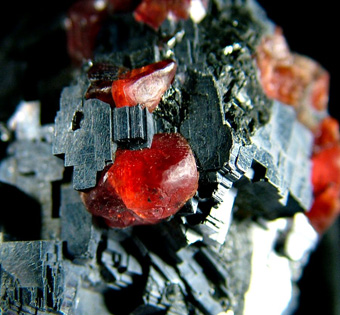 Rhodonite in Galena - Broken Hill, Yancowinna Co., New South Wales, Australia