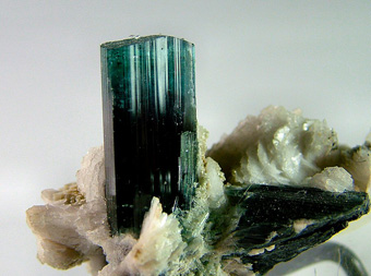 Indicolite with Muscovite on Albite - Skardu, Skardu District, Gilgit-Baltistan, Pakistan