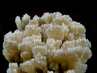 Quartz var. Chalcedony - Toleto, Ovada Area, Alessandria, Piedmont, Italy