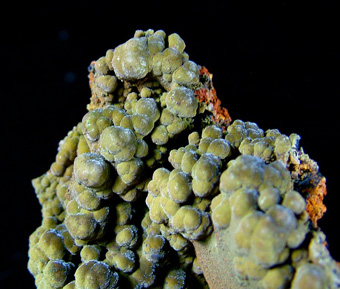 Mottramite - Ojuela Mine, Mapim�, Mapim� Municipality, Durango, Mexico