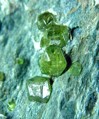 Andradite var. Demantoid - Sferl�n asbestos mine, Vallone del Cengiaccio, Lanzada, Sondrio Province, Lombardy, Italy