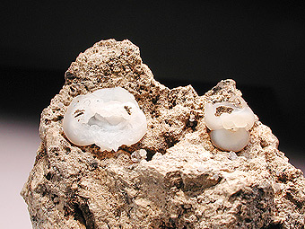 Cristobalite - Sarli�ve - Cournon-d'Auvergne - Puy de Dome - France