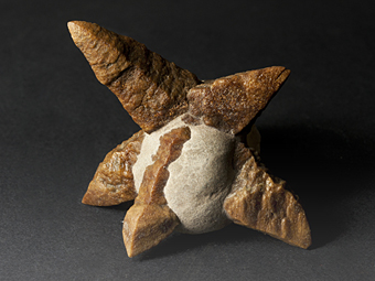 Calcite ps after Ikaite - Kola Peninsula, Murmanskaya Oblast, Northern Region, Russia