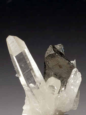 Tetrahedrite, Quartz - Huayllapon mine, Pasto Bueno, Ancash, Peru