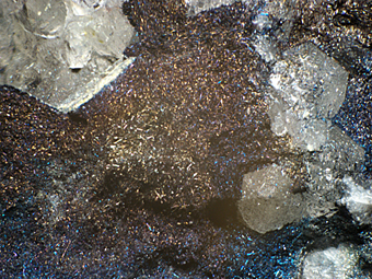 Dadsonite - Graf Jost-Christian Mine, Wolfsberg, Harz, Germany