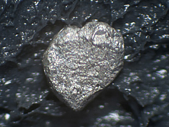 Osmium var. Iridosmine - Neiva River, Nizhnii Tagil, Sverdlovskaya Oblast', Middle Urals, Urals Region, Russia