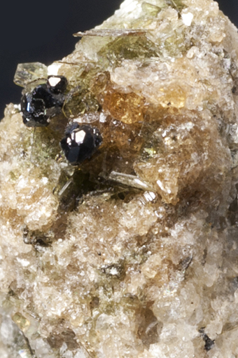 Chondrodite, Spinel - San Vito quarry, Monte Somma - Vesuvio Complex, Campania, Italy