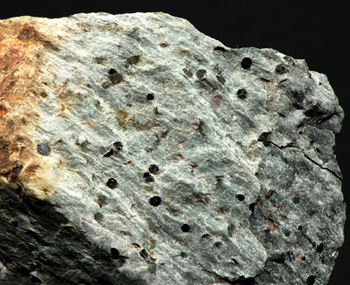 Ottrelite - Ottr�, Vielsalm, Stavelot Massif, Luxembourg Province, Belgium