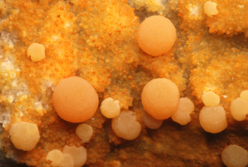 Mimetite - Grube Haus Baden, Sehringen, Baden-W�rttemberg, Germany