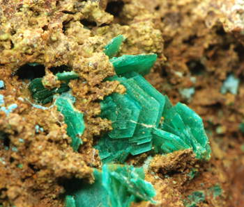 Chalcophyllite - Salsigne mine, Mas-Cabard�s, Carcassonne, Aude, Languedoc-Roussillon, France