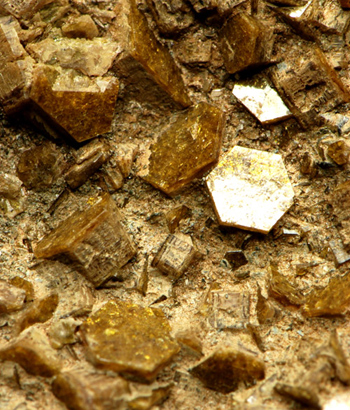 Fe-Pyrosmalite - Nordmark,  Filipstad,  V�rmland,  Sweden