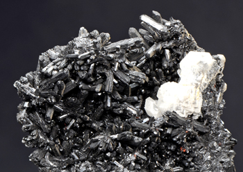 Gaudefroyite - N' chwaning II mine, Kuruman - South Africa