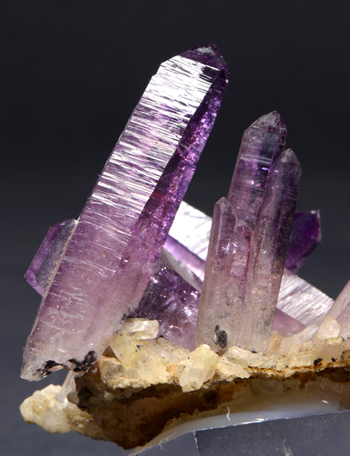 Quartz var. Amethyst - Mun. Las Vigas de Ram�rez, Veracruz, Mexico