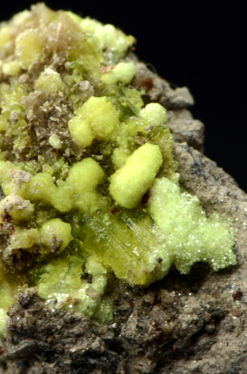 Liebigite - Barbora adit, J�chymov, Karlovy Vary Region, Bohemia, Czech Republic