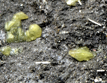 Sulfur - Monteponi Mine, by Iglesias, Province of Cagliari, Sardegna, Italy