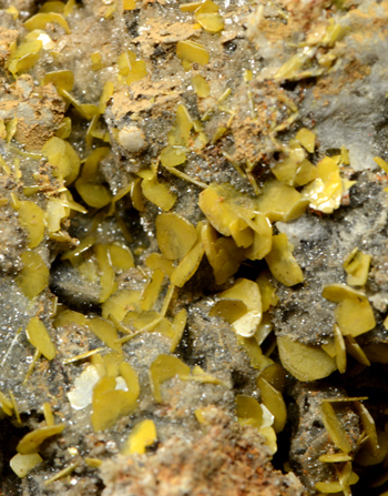 Wulfenite - Val Calolden mine, Ballabio, Lecco Province, Lombardy, Italy