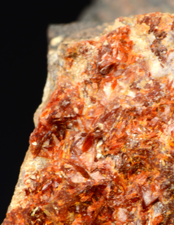 Saneroite - Molinello Mine, Graveglia Valley, Ne, Genova Province, Liguria, Italy