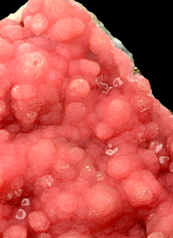 Rhodocrosite - Oppu mine, Nishimeya-mura, Naka-Tsugaru-gun, Aomori Prefecture, Tohoku Region, Honshu Island, Japan