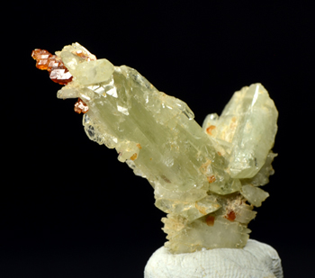 Diopside and Hessonite - Alpe delle Frasse, Laietto, Susa Valley, Province of Torino, Piedmont, Italy