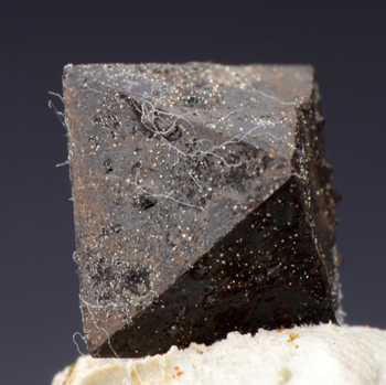 Hauerite - Destricella mine, Raddusa,  Catania Province,  Sicily,  Italy