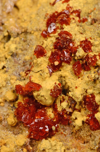 Botryogen - Libiola Mine, Sestri Levante, Genova Province, Liguria, Italy