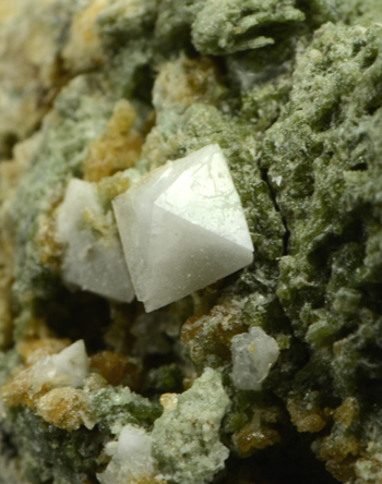 Gismondine - Vedretta della Miniera, Zebr� Valley, Valfurva, Sondrio Province, Lombardy, Italy