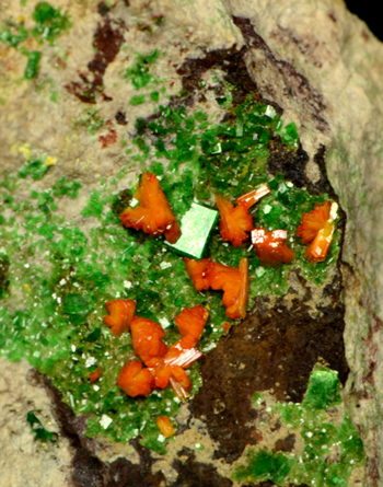 Kasolite and Torbernite - Musonoi Mine, Kolwezi, Katanga, Za�re