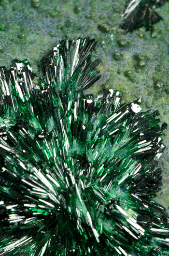 Atacamite - La Farola Mine, Cerro Pintado, Tierra Amarilla, Copiap� Province, Atacama Region, Chile