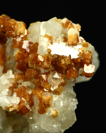 Svanbergite - Mount Brussilof mine (Bay Mag Mine),  Radium Hot Springs, Golden Mining Division,  British Columbia,  Canada