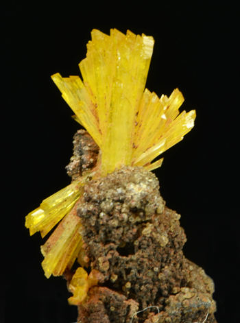 Legrandite - Ojuela Mine, Mapim�, Durango, Mexico