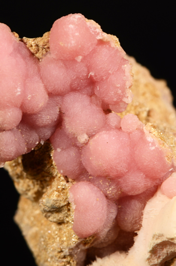 Rhodocrosite - Gambatesa Mine, Graveglia Valley, Genova Province, Liguria, Italy