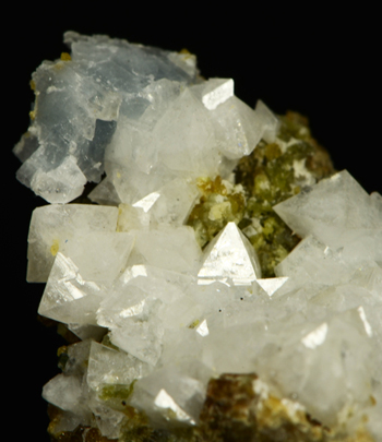 Gismondine - Vedretta della Miniera, Zebr� Valley, Valfurva, Sondrio Province, Lombardy, Italy