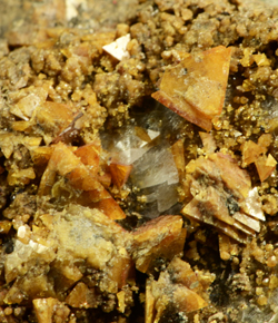 Helvine - Victorio District, Luna Co., New Mexico, USA