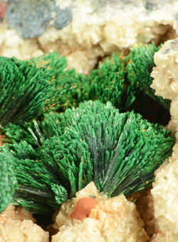 Malachite - Tsumeb Mine, Namibia