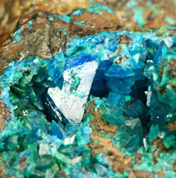 Liroconite - Wheal Gorland, Gwennap, Camborne - St Day District, Cornwall, England, UK