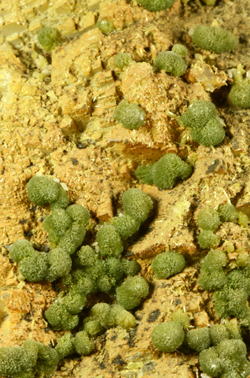 Piromorfite - Cinquevalli Mine, Roncegno, Valsugana, Trento Province, Trentino-Alto Adige, Italy