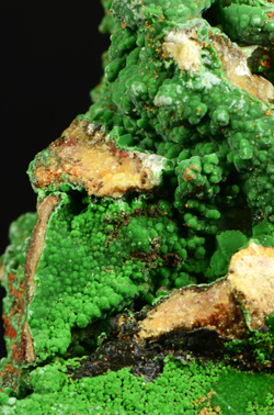 Conichalcite - Monte Tamara, Nuxis, Cagliari, Sardinia, Italy