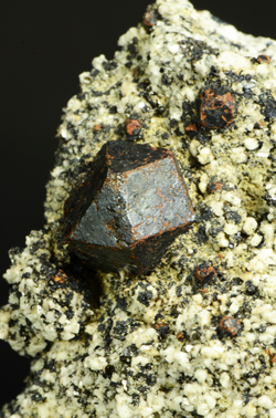 Cafarsite - Mt. Cervandone, Val d'Ossola, Piedmont, Italy